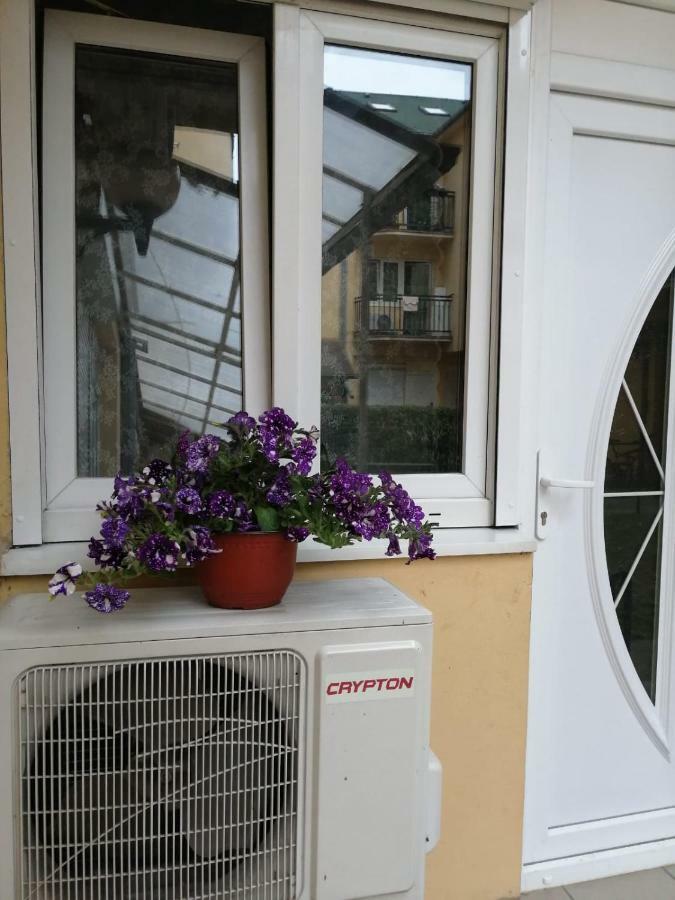 Apartman "Garden" Apartment Novi Sad Exterior foto